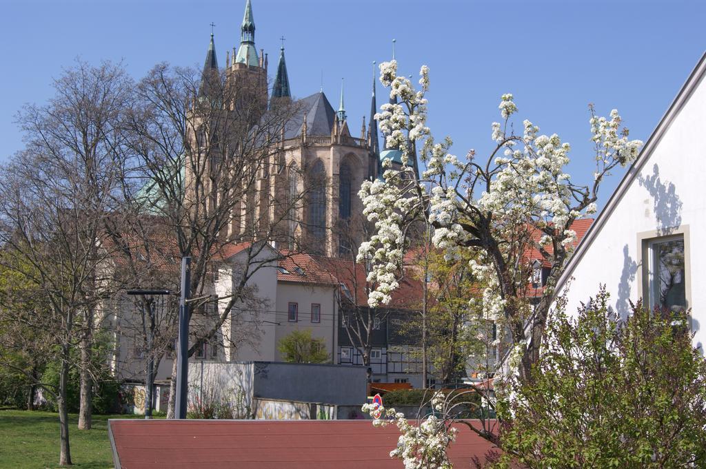 Pension am Dom Erfurt Exterior foto